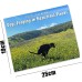 2024 Calendar - Dogs Pooping in Beautiful Places Wall Calendar January 2024 from December, Funny Wall Art Gag Humor Gift Prank Calendar, Gifts for Friends