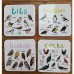 Set of 6 Bird Pun Coasters, Desktop Coaster Bird Square Coaster Set Creative Table Non-slip Tea Coaster