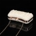 Women's Clutch Evening Bag Coin Purse Leather Party Beach Pearls Chain Solid Color Geometric White Beige