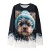 Women's Sweatshirt Pullover Dog Active Sportswear Black Red Blue Casual Sports Round Neck Long Sleeve Top Micro-elastic Fall & Winter