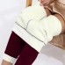 Women's Fleece Pants Tights Leggings Ankle-Length Micro-elastic High Waist Tights Casual / Sporty Weekend Yoga Black Gold Wine S M Fall & Winter