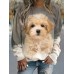 Women's Sweatshirt Pullover Dog Sports Basic Yellow Street Casual Round Neck Long Sleeve Top Micro-elastic Fall & Winter