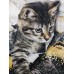 Women's T shirt Tee Black White Blue Graphic Cat Print Short Sleeve Daily Weekend Vintage Round Neck Regular 3D Cat Painting S